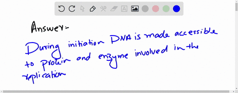 the-following-statement-about-initiation-of-dna-replication-is-true-a-all-chromosomes-in-both-prokaryotes-and-eukaryotes-have-one-origin-of-replication-b-initiation-of-dna-replication-occurs-79405