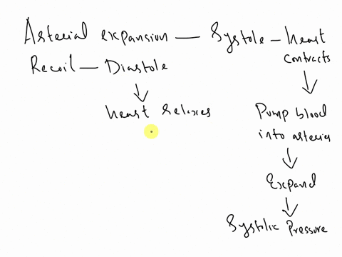 why-arterial-expansion-and-recoil-during-the-cardiac-cycle-reduce-pulse-pressure-and-ease-the-strain-on-small-arteries-50273