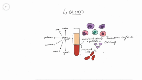the-component-of-plasma-that-maintains-the-osmotic-pressure-of-blood-is-a-water-b-electrolytes-c-protein-d-nutrients-64979