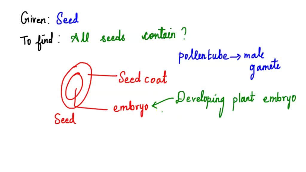 SOLVED All seeds contain which of the following? Select all that apply