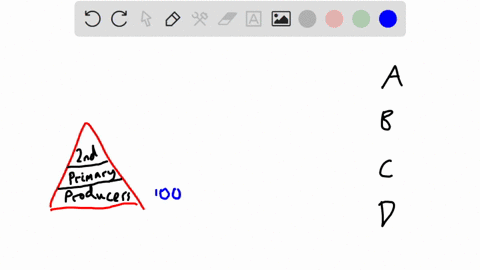 an-energy-pyramid-shows-the-loss-of-energy-at-each-trophic-level-which-explains-why-energy-is-not-really-lost-a-some-energy-remains-in-the-first-trophic-level-b-an-organism-conserves-its-ene-06915