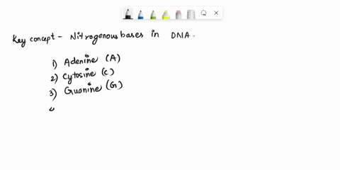 qutstion-set-b-what-are-the-four-pairs-of-dna-bascs-that-form-in-the-double-helix-the-four-pairs-of-dna-bases-12-how-can-distinguish-from-c-which-dna-double-helix-do-you-think-would-be-harde-82007