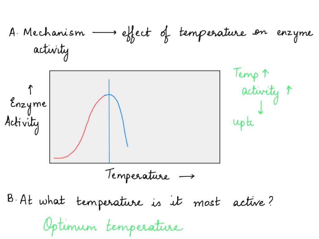 SOLVED a. Is the enzyme whose temperature versus activity profile is