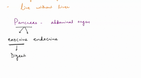 digestive-system-answer-two-of-the-following-questions-1-name-the-two-functions-of-the-pancreas-and-explain-what-its-secretions-accomplish_-2-discuss-why-we-cannot-live-without-the-liver-3-l-20537