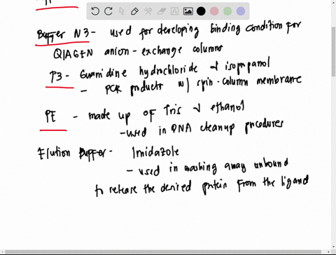 lab-report-isolation-of-plasmid-dna-from-bacteria-results-2-what-chemicals-are-in-the-following-solutions-and-why-p1-p2-n3-pb-pe-elution-buffer-eb-3-why-was-the-restriction-enzyme-digestion-11368