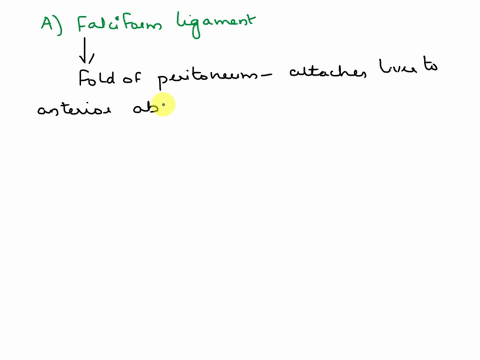 the-mesentery-through-which-the-umbilival-vein-passes-is-the-a-falciform-ligament-b-lesser-omentum-c-mesentery-proper-d-visceral-peritoneum-89675