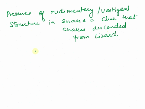 snakes-have-rudimentaryvestigial-structures-in-the-ventral-part-of-their-bodies-that-demonstrate-that-at-some-point-in-time-in-their-evolution-they-lost-the-ability-to-form-limbs-please-expl-32642