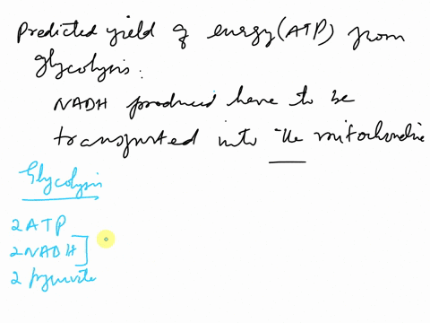 if-you-take-into-account-the-amount-of-atp-generated-by-atp-synthase-per-molecule-of-nadh-produced-in-aerobic-respiration-the-net-number-of-atp-molecules-produced-by-substrate-level-phosphor-62539