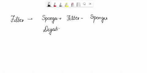 which-is-not-a-characteristic-of-sponges-a-filter-feeding-b-digestion-inside-cells-c-asymmetry-d-tis-12054