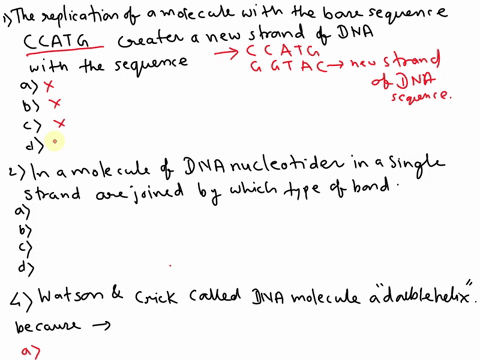 question-7-the-replication-of-molecule-of-dna-with-the-base-sequence-a-t-gwill-create-new-strand-of-dna-with-the-sequence-gtacc-ccatg-ccaug-g-gtac-question-8-molecule-of-dna-nucleotides-in-s-31895