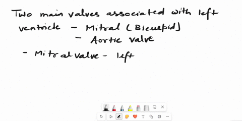 which-valve-prevents-the-backflow-of-blood-into-the-left-ventricle-when-the-ventricles-relax-42329