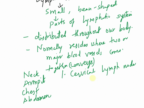 where-are-lymph-nodes-located-and-what-are-their-functions-51991