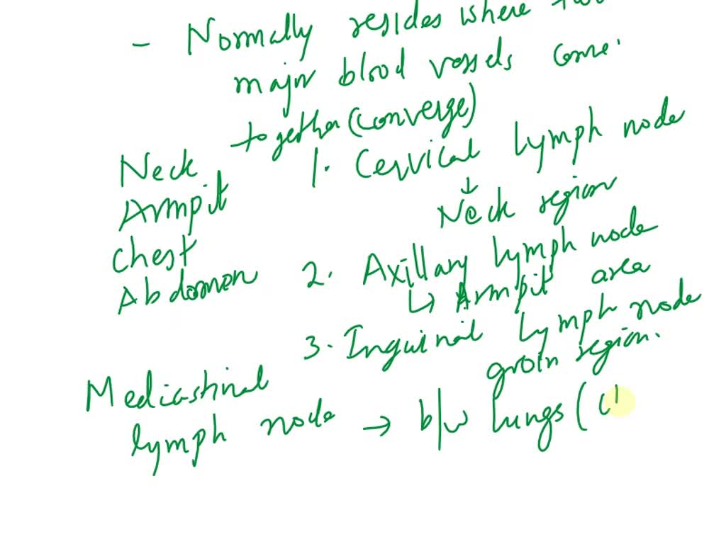 Solved where are lymph nodes located and what are their functions 