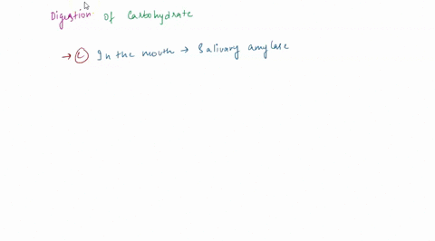 chemical-digestion-of-carbohydrates-starts-by-a-in-the-small-intestine-by-salivary-amylase-bin-the-mouth-by-gastric-amylase-c-in-the-mouth-by-salivary-amylase-d-in-the-mouth-by-gastric-lipas-90243