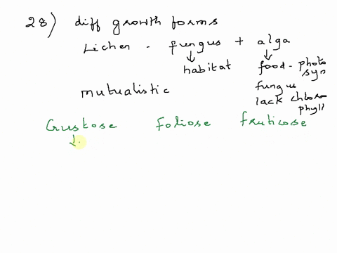 question-28-6-points-identily-thc-three-different-growth-forms-of-lichens-and-briefly-describe-their-differences-format-u-n-0-question-29-2-points-mycorhizne-ure-uasociutiona-belwecn-what-tw-88423