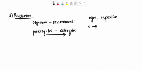 d-answer-the-following-questions-in-brief-1-define-respiration-name-the-two-types-of-respiration-48638