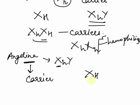 hemophilia-is-a-sex-linked-trait-where-xh-gives-normal-blood-clotting-and-is-dominant-to-the-hemophilia-allele-xh-males-that-are-xhy-are-normal-but-males-that-are-xhy-are-hemophiliacs-for-wo-17964