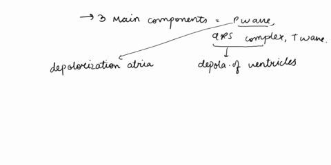 ldentify-it-and-describe-itthe-electrocardiogram-waves-and-intervals-of-the-ecg-portion-of-the-ecg-drawing-definitionmeaning-p-wave-qrs-complex-t-wave-r-r-interval-p-r-interval-q-t-interval-62491