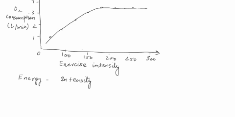 maximal-oxygen-consumption-test-in-the-graph-below-oxygen-consumption-is-plotted-against-exercise-intensity-select-annotate-and-then-circle-and-label-the-point-at-which-vo2max-can-be-determi-85458