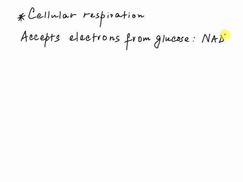 regarding-cellular-respiration-identify-which-parts-of-the-reaction-fit-the-description-below-the-reactant-that-we-breathe-in-o2-the-product-that-we-breathe-out-co2-the-reactant-that-accepts-10221