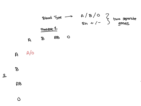 explain-the-two-inheritance-patterns-of-blood-type-54328