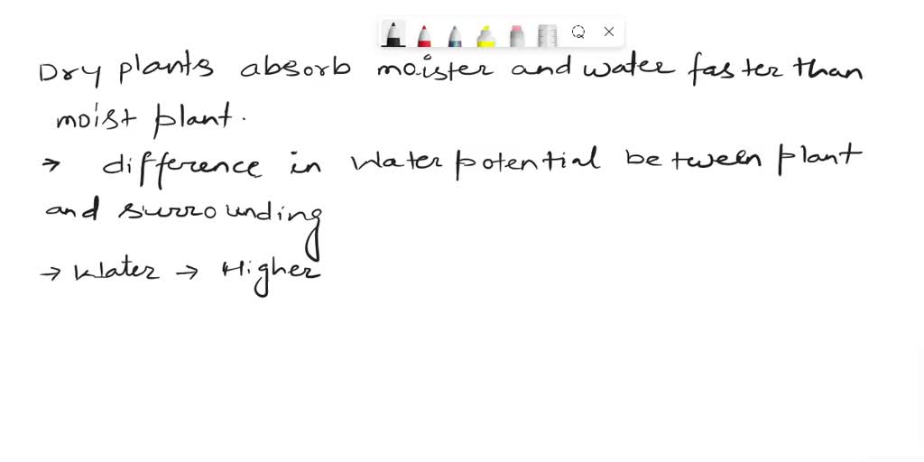 SOLVED Why a dry plant absorbs water faster than a moist plant