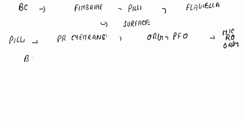 bacterial-cells-can-contain-which-of-the-following-surface-molecules-a-pili-b-fimbriae-c-flagella-d-capsules-e-a-b-and-c-f-all-of-the-above-61064