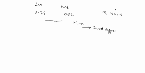 in-a-sample-from-an-african-population-the-frequencies-of-the-lm-and-ln-alleles-were-078-and-022-respectively-if-the-population-mates-randomly-with-respect-to-the-mn-blood-types-what-are-the-01763