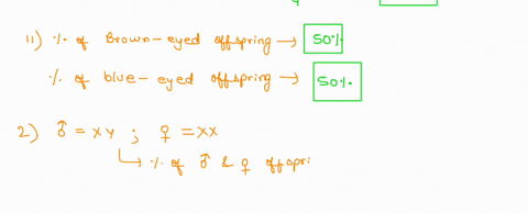 part-i-mendelian-genetics-in-this-assignment-you-will-use-a-useful-tool-the-punnett-square-to-predict-the-probabilities-of-offspring-gender-and-genotypes-and-phenotypes-of-different-matings-85815