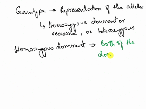 what-is-written-first-in-a-genotype-the-dominant-allele-it-doesnt-matter-the-recessive-allele-a-64303