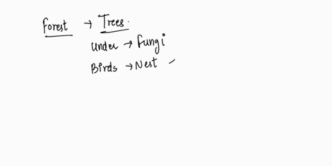 fungi-many-birds-and-a-wide-variety-of-insects-all-share-the-what-of-a-tree-in-the-forest-04875