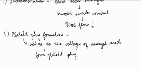 which-of-the-following-list-the-events-of-herostasis-in-the-correct-order-1-thrombolysis-2-coagulation-3-vascular-spasm-4-clot-retraction-5-platelet-plug-formation-select-one-a-53124-b-3524-36277
