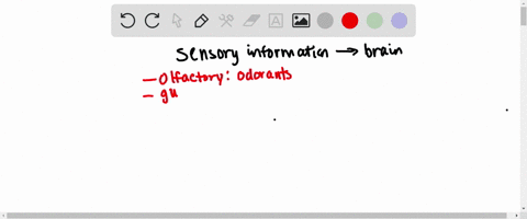 1-sensory-transduction-systems-convert-signals-from-the-environment-into-electric-signals-these-signals-are-collected-integrated-and-processed-by-the-central-nervous-system-match-the-sensory-94834