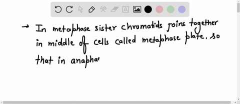 if-a-cell-skipped-metaphase-during-mitosis-how-might-this-affect-the-two-daughter-cells-32826