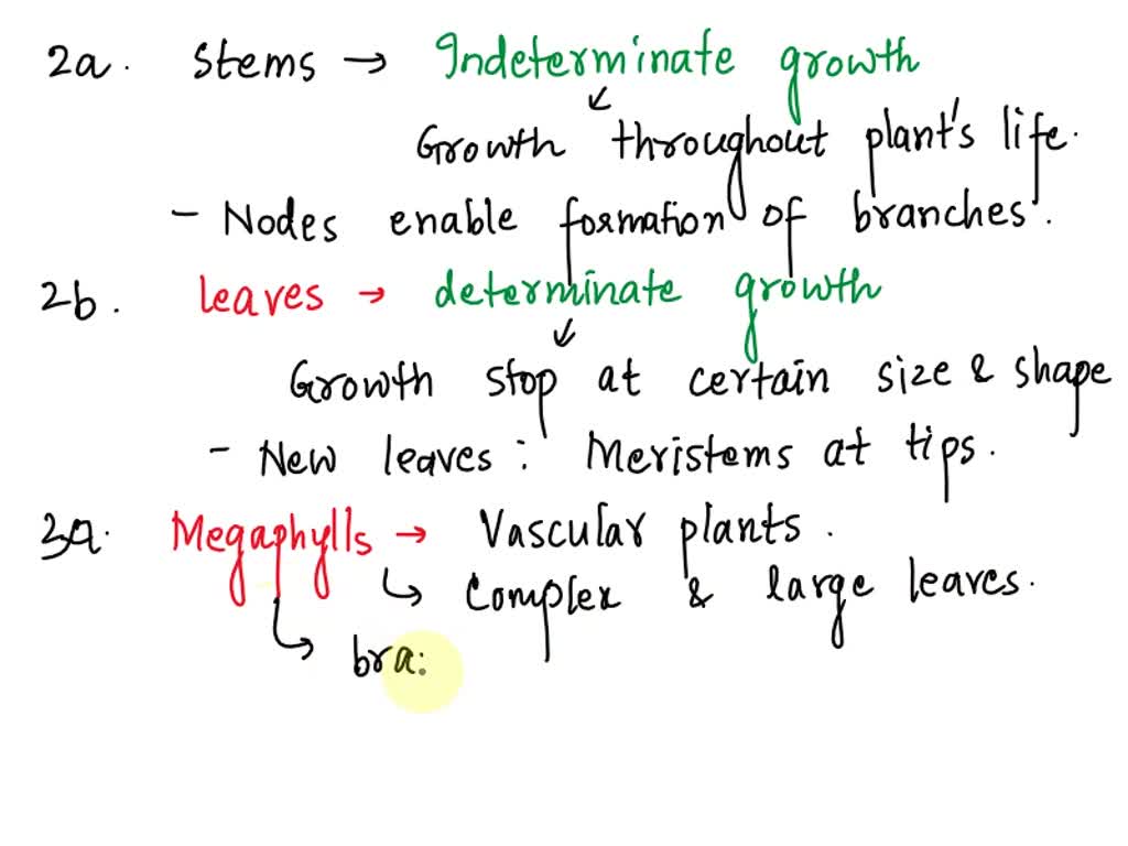 SOLVED: 2a. Which type of growth do stems have? How can you tell? 2b ...