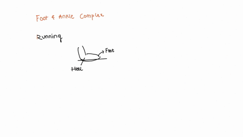 which-of-the-following-statements-is-correct-about-the-position-of-the-foot-and-ankle-complex-during-running-movementsa-the-foot-and-ankle-should-be-pointing-straight-ahead-in-a-plantarflexe-50573