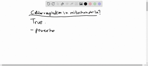 cellular-respiration-takes-place-in-the-mitochondria-of-cells-06578