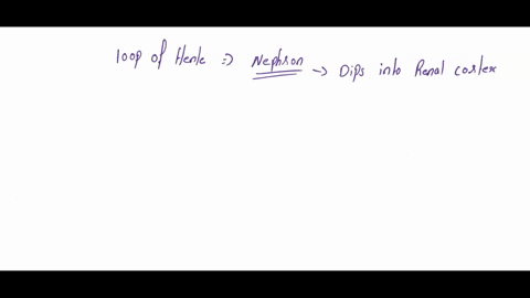 the-loop-of-henle-dips-into-the-renal-cortex-this-is-an-important-feature-of-osmoregulation-in-terrestrial-vertebrates-because-selectone-o-aabsorptive-processes-taking-place-in-the-loop-of-h-39864