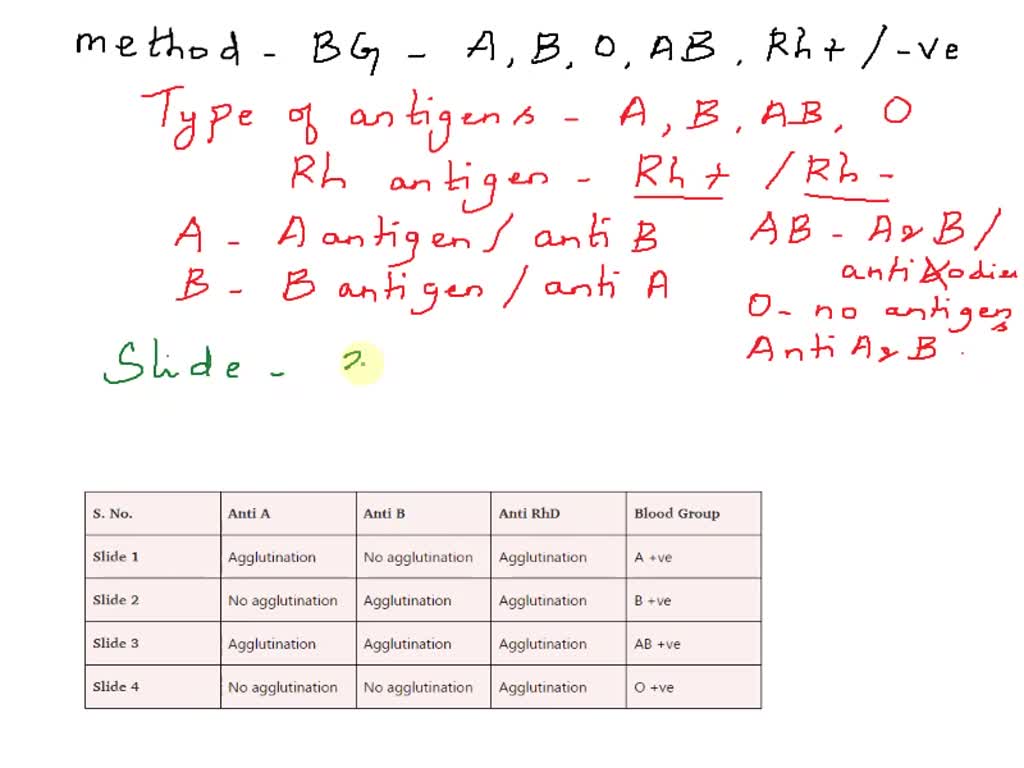 solved-determining-a-person-s-blood-type-a-b-ab-o-and-rh-factor