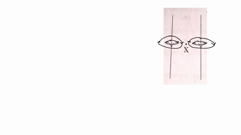 the-following-diagram-shows-two-parallel-straight-conductors-carrying-same-current-copy-the-diagram-and-draw-the-pattern-of-magnetic-field-lines-around-them-showing-their-directions-what-is-38198