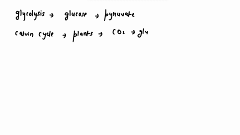 jlcd-infotation-glycolysis-calvin-cycle-production-acetyl-coa-krebs-cycle-last-elecuron-transpor-chain-nexl-32965