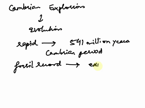 what-is-the-cambrian-explosion-and-why-is-it-thought-to-be-important-for-the-evolution-of-animals-87421