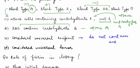 question-5-match-the-following-terms-with-their-descriptions-a-b-c-d-e-plasma-a-b-c-d-e-hemoglobin-a-b-c-d-e-white-blood-cells-a-b-c-d-e-platelets-a-b-c-d-e-water-a-the-liquid-portion-of-the-30522