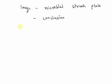 what-can-you-conclude-from-this-streak-plate-select-one-a-the-plate-is-contaminated-because-only-one-type-of-bacteria-should-grow-b-it-was-made-from-a-pure-culture-of-bacteria-there-are-colo-70493