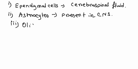 Drag the labels onto the diagram to identify the various types of ...