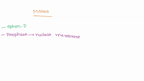 which-of-the-following-pairs-concerning-mitosis-is-correct-ametaphasechromosomes-duplicate-banaphasechromosomes-line-up-in-center-of-the-cell-ctelophase-the-cytoplasm-divides-dprophase-nucle-79207