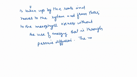 question-2-water-movement-25-points-describe-and-discuss-the-transpiration-stream-in-the-plant-body-include-in-your-answer-description-of-the-paths-that-water-takes-entering-the-root-and-the-69445