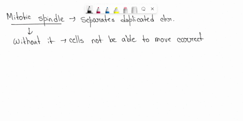 in-a-cell-undergoing-mitosis-the-nuclear-envelope-disappeared-the-chromosomes-condensed-down-but-the-mitotic-spindle-did-not-form-which-stage-will-not-be-able-to-occur-next-in-the-mitotic-se-01731