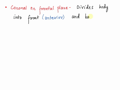 a-plane-that-divides-the-body-into-anterior-and-posterior-parts-is-aa-frontal-coronal-plane-b-sagittal-plane-c-transverse-plane-19861