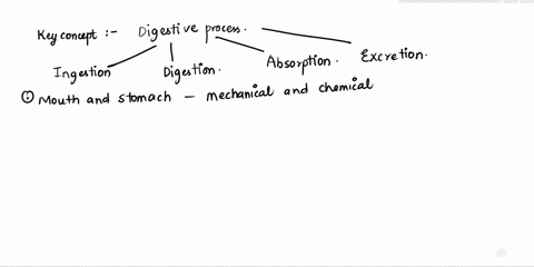 which-of-the-following-statements-about-digestion-of-food-in-the-large-intestines-is-true-a-mechanic-09345